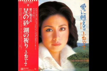 小柳ルミ子 19 「愛に甦える／南から北へ」　(1977.11.25)　●レコード音源