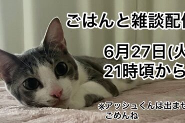 【第2回生配信】ごはんを食べながら雑談【佐々木琴子】