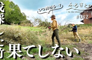 【果てしない…】古民家裏から伐採した大量の竹！ひたすら枝打ち作業をし続けたら…｜田舎暮らし042