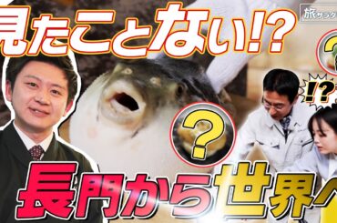 【伊原六花×山口・長門の旅！】白子コロッケにフィレオふぐ!? 驚きの新メニュー！〈ロコレコ！〉