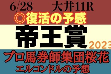 プロ馬券師集団桜花エルコンドル氏の帝王賞2023予想！！宝塚記念の次はダートのG1が大井で開催！メイショウハリオ連覇なるか！テーオーケインズが昨年の雪辱晴らすか！好レースになるは間違いなし！