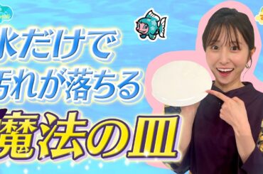 【節約】水だけで汚れが落ちる『魔法の皿』／とれたてFISHING
