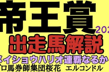 プロ馬券師集団桜花エルコンドル氏の帝王賞2023出走馬解説！！中央競馬の春のG1は終わったが地方でダートG1があるぞ！中央地方のダートの強豪揃った楽しみな一戦！