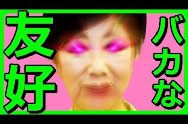 【韓国】小池百合子東京都知事がソウル市長と8年ぶりに会談⇒訪韓日本人観光客数が回復、東京で開催されたソウル体感イベントも大盛況とデマ拡散、一方、韓国は体は成人だが精神は少年【カッパえんちょー】