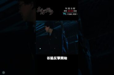 「#シガテラ」【谷脇反撃開始ver.】 テレビ東京系 毎週金曜24時12分から放送&TVerで配信中！#醍醐虎汰朗 #関水渚 #長谷川慎 #shorts
