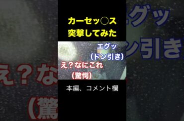 カーセッ◯ス突撃してみた結果…【放送事故映像】#shorts