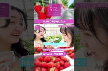 #いちご狩りをしたい #shorts