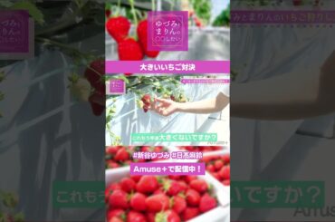 大きいいちご対決 #shorts