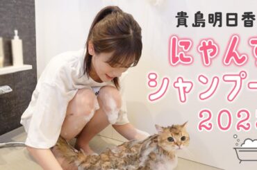年イチのにゃんずシャンプー！3匹の猫をお風呂に入れるあすかさん