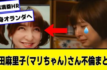 【オランダへ脱出】篠田麻里子さん（マリちゃん）不倫騒動まとめ 【なんJ２chネットの反応】