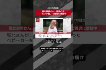堀北真希さん、激変の今　「ピンク髪」で育児に奮闘中 NEWSポストセブン【ショート動画】 #shorts