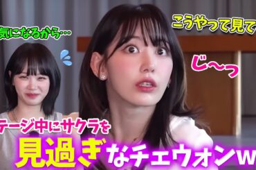 【LE SSERAFIM】毎回サクラ見惚れてしまうチェウォンｗ【日本語字幕】