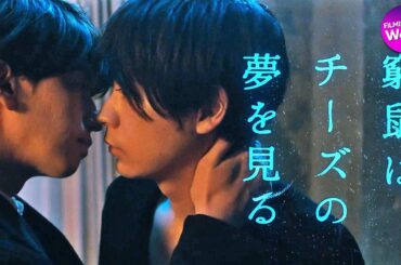 大倉忠義＆成田凌主演！映画『窮鼠はチーズの夢を見る』予告編