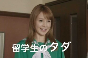 上戸彩 トリンドル玲奈 CM ソフトバンク 白戸家 ハワイからの留学生篇