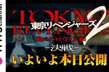 【東京リベンジャーズ2】北村匠海、今田美桜、磯村勇斗ら出演！映画『東京リベンジャーズ2 血のハロウィン編 –運命-／-決戦-』特別映像解禁