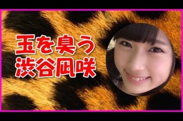 【NMB48】玉を臭う渋谷凪咲