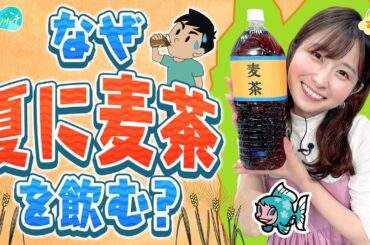 なぜ夏に麦茶を飲むの？／とれたてリサーチ
