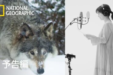 世界大自然紀行：スカンジナビア半島 (声：宇賀なつみ) - 予告編 (動物編) | ナショジオ