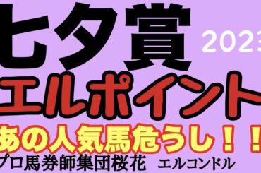 プロ馬券師集団桜花エルコンドル氏の七夕賞2023エルポイント！！荒れるハンデ重賞の所以は？！過去の傾向からその理由が見えてくる！あの人気馬は危ういかもしれない！