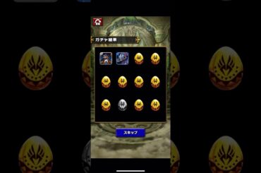 ドラエグ　神龍招来ガチャ！