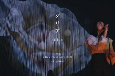 adieu ダリア [ Official Live Video ]