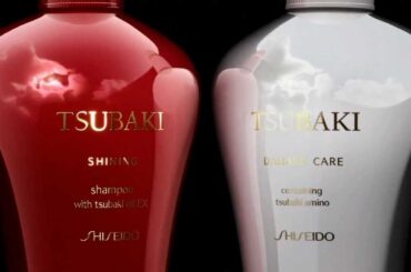 堀北真希ほか -CM- 資生堂 New TSUBAKI 30秒