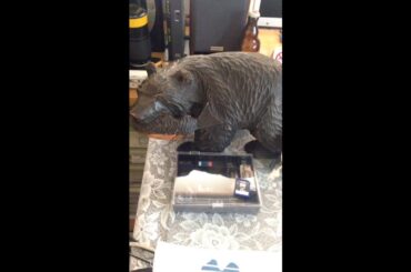 平成時代ラストの童話作家宮沢賢治雨ニモマケズ朗読