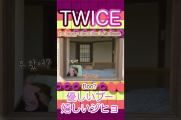 お昼寝リーダーにそっと寄り添うももりんの愛犬ブー🦄🐕✨ #twice #Jihyo  #momo #shorts