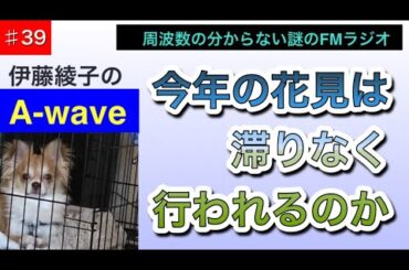 伊藤綾子の「A wave」39 今年の花見は滞りなく行われるのか