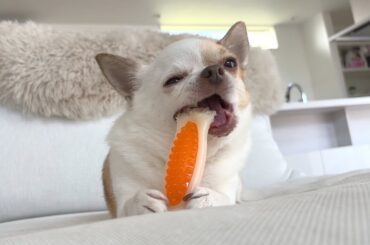 健康診断へ行ったら衝撃の事実が判明しました