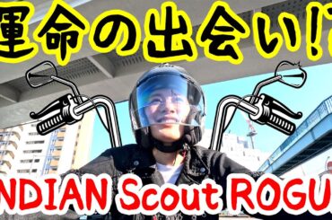 【バイク】これぞ乗り心地抜群Indian