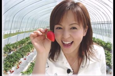 いとうまい子さん　フォトムービー