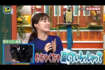 ニノさん 2023年7月9日 ▼生田絵梨花&行列で話題の絶品和菓子▼山中湖でマリンスポーツ LIVE HD