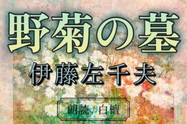 伊藤左千夫作　野菊の墓【朗読】白檀