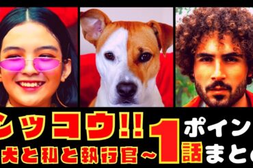 【シッコウ!!〜犬と私と執行官〜１話】新しいお仕事ドラマ開幕!!【ポイントまとめ】