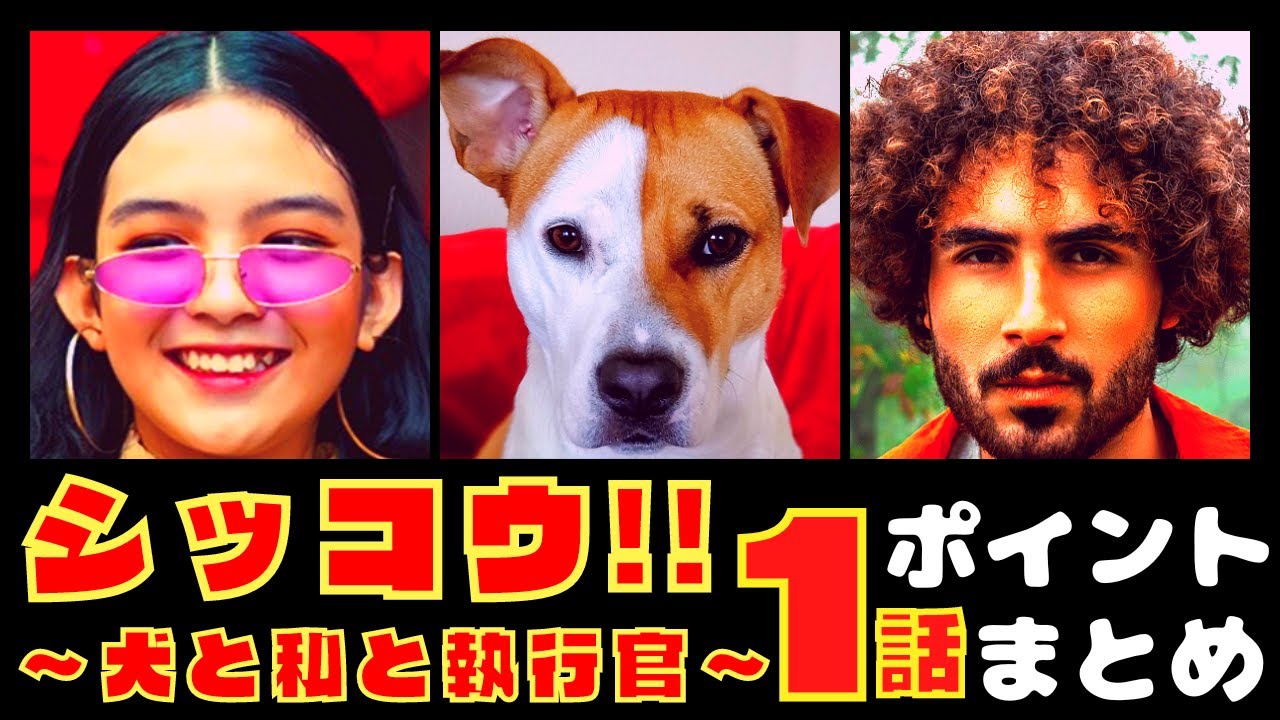 【シッコウ!!〜犬と私と執行官〜1話】新しいお仕事ドラマ開幕!!【ポイントまとめ】 【シッコウ!!〜犬と私と執行官〜1話】新しいお仕事ドラマ開幕!!【ポイントまとめ】