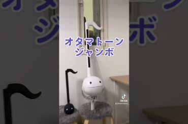 オタマトーンジャンボはやっぱりデカい #オタマトーン #otamatone