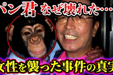 【ゆっくり解説】女性の全身を噛みちぎる…志村どうぶつ園のパンくんが女性を襲った事件の真実について