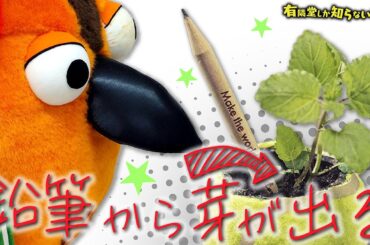 【意識高いだけとは言わせない】エコなのに使える文具の世界 ～有隣堂しか知らない世界197～