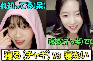 ピオナのひっかけクイズに呆れるチェウォンと純粋なカズハ　※概要欄に説明あり