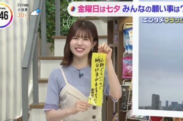 松田好花ちゃんが短冊に書いた願いとは？