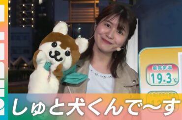 【首都圏だからしゅと犬くん】気象予報士の市村さんと毎日出演中！（NABEトピ）