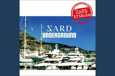 DAN DAN 心魅かれてく