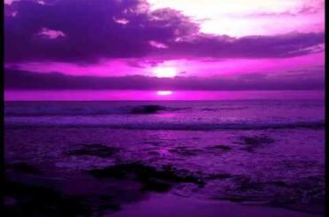 ディープ・パープル　五十嵐浩晃