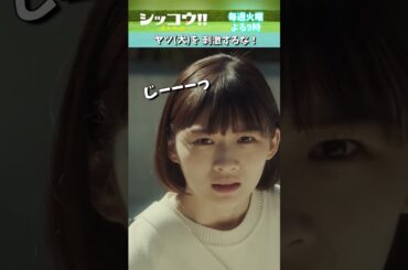 #伊藤沙莉 #織田裕二 #シッコウ!! #テレビ朝日 #毎週火曜よる9時 #shorts