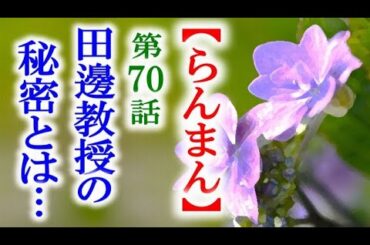 【らんまん】朝ドラ 第70話 田邊教授は戸隠草の秘密があるようだが…連続テレビ小説第69話感想