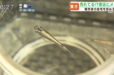 なぜ？意外と売れている「書店のメダカ」　販売者の自宅についていくと…（abnステーション2023年7月12日放送）