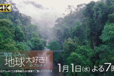 ４Ｋ放送！【二階堂ふみの 地球大好き！ in ブルネイ】　1月1日(水)夜7時放送