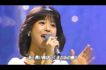 마츠다 세이코 근본 푸른 산호초 🌊