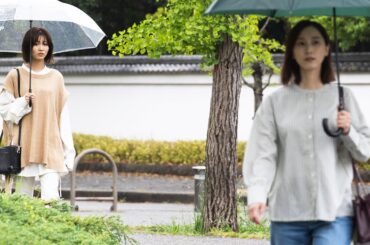 岡崎紗絵が松井玲奈のストーカー!? 3人の異母姉妹が織りなす映画『緑のざわめき』特報